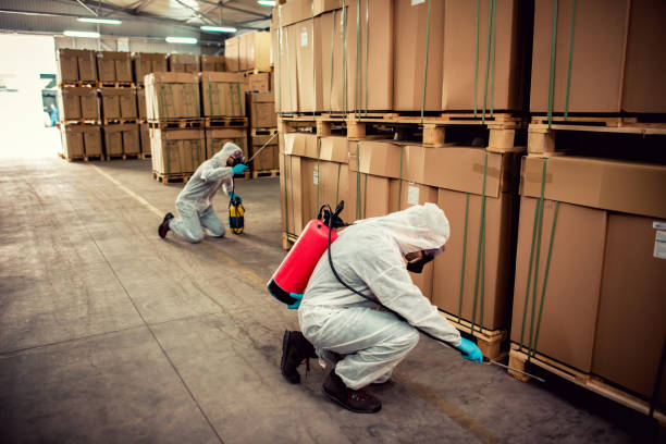 Best Bed Bug Extermination  in Kean University, NJ