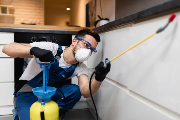 Best Residential Pest Control  in Kean University, NJ