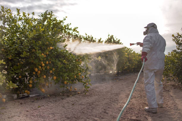Pest Control Cost in Kean University, NJ