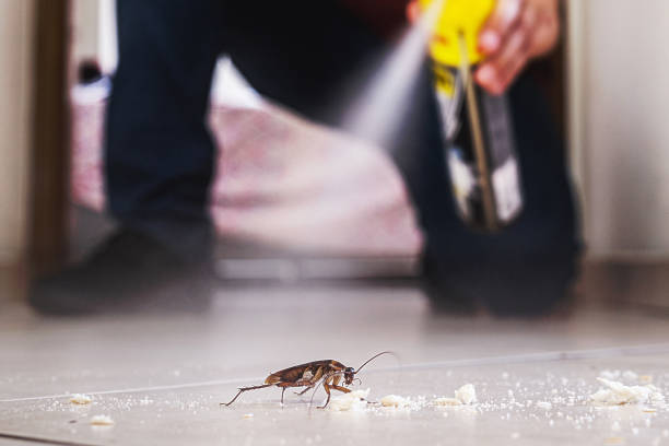 Best Pest Removal Services  in Kean University, NJ