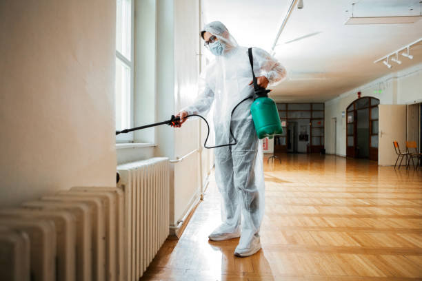 Best Rat Extermination Near Me  in Kean University, NJ