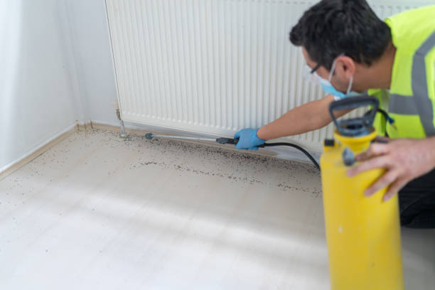 Best Ant Control Services  in Kean University, NJ